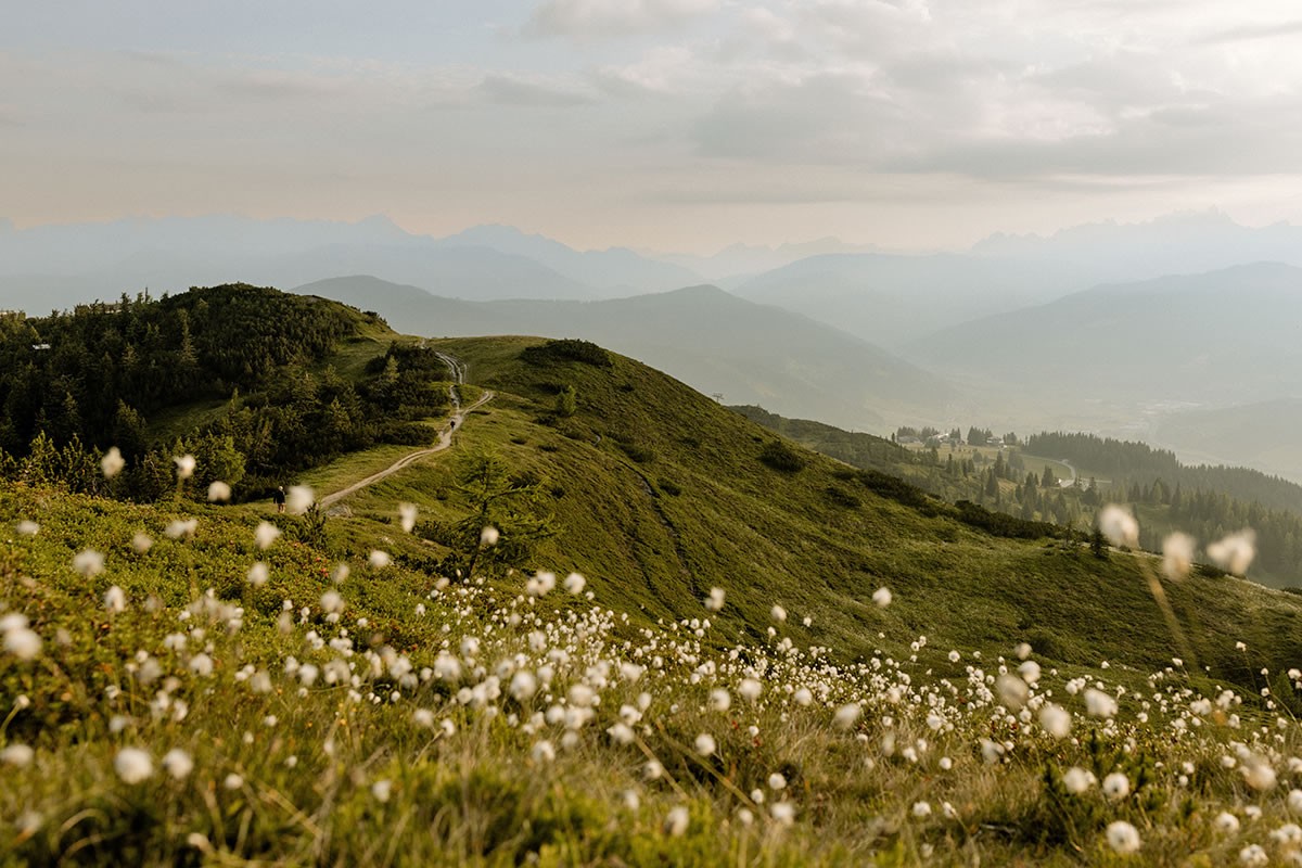 Herrliche Almenwelten